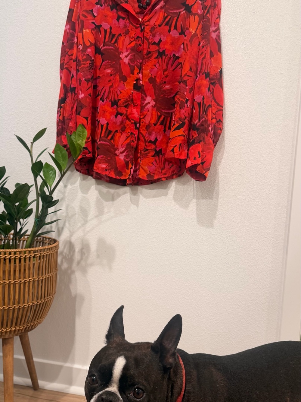 Red Floral Button-Down Shirt — Women's Relaxed Collar Blouse